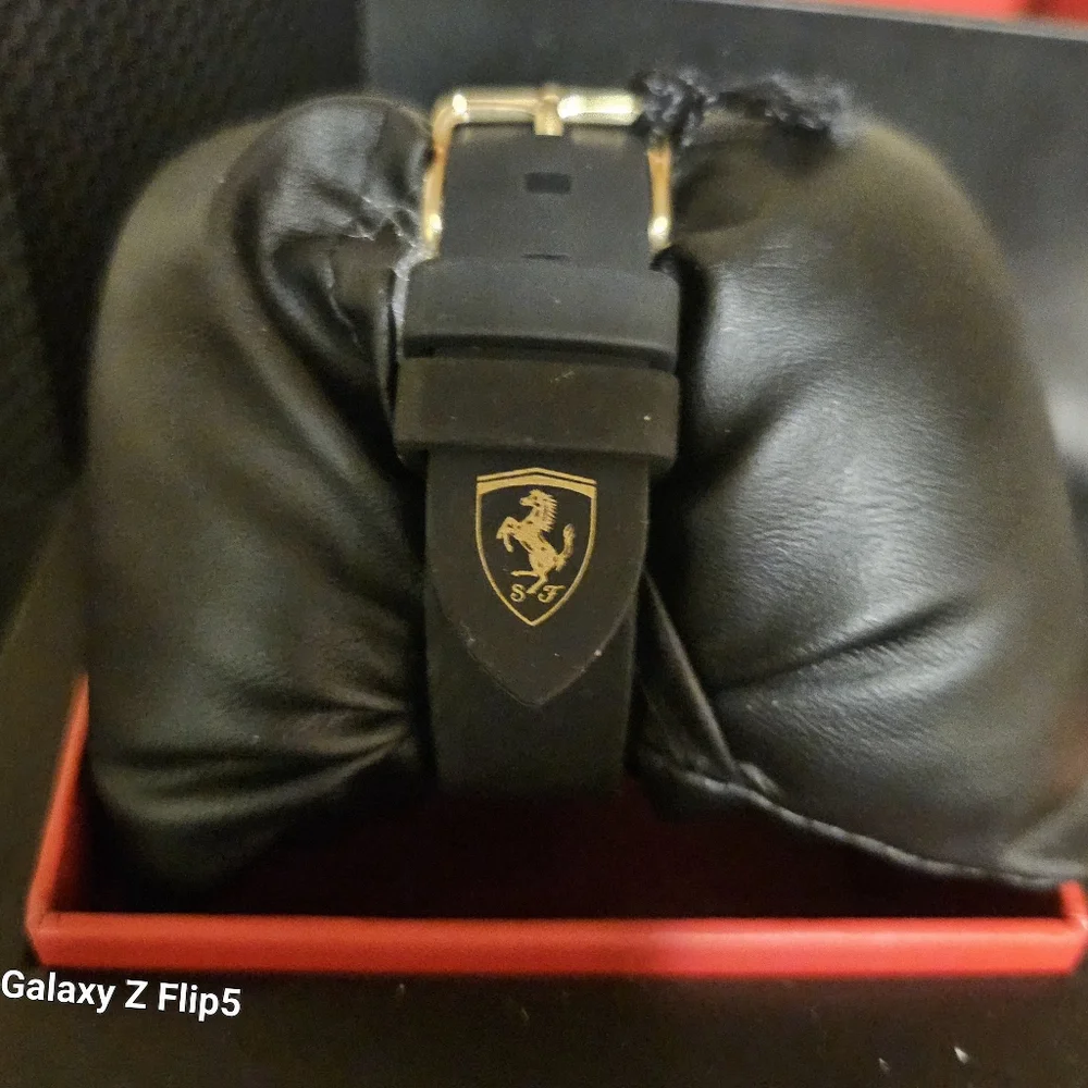 Ferrari full inclusion